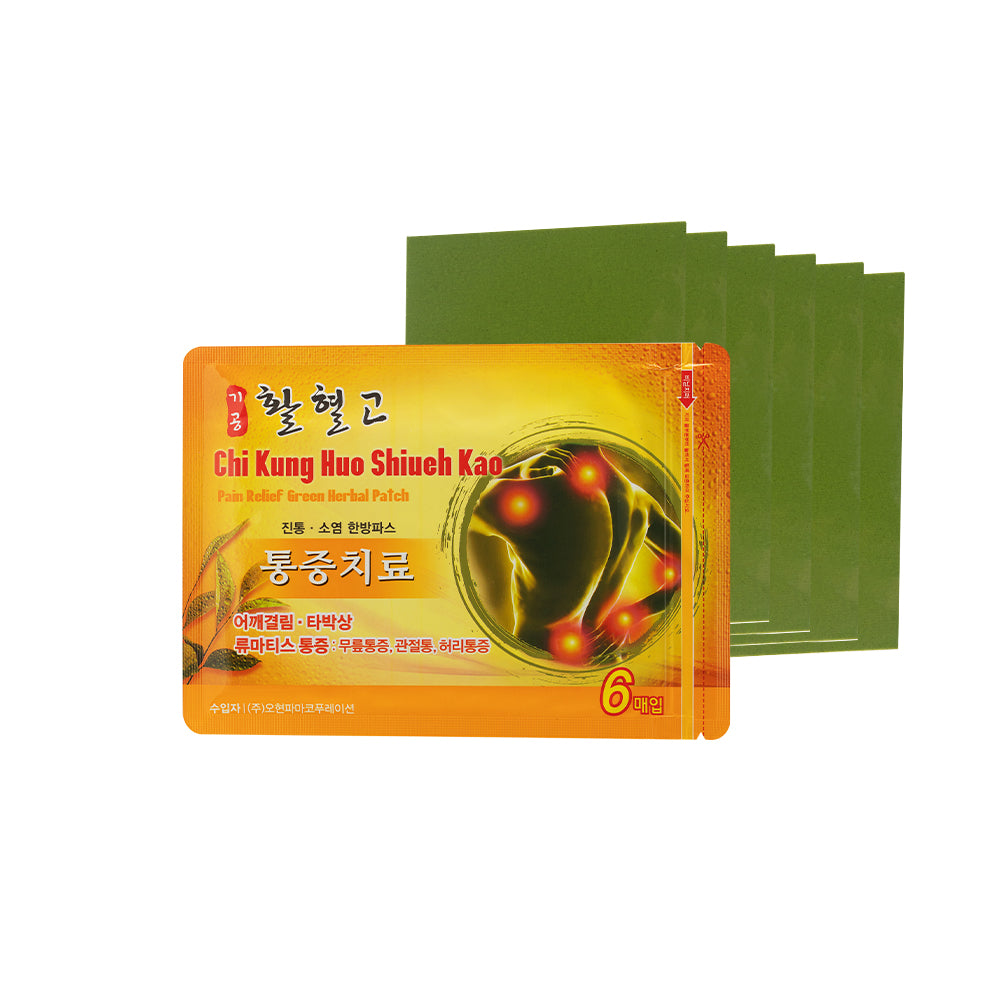 기공활혈고 파스 CHI KUNG HUO Patch 6 sheets/Pack